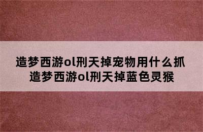 造梦西游ol刑天掉宠物用什么抓 造梦西游ol刑天掉蓝色灵猴